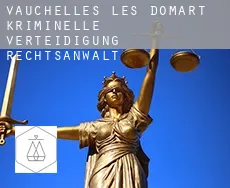 Vauchelles-lès-Domart  kriminelle verteidigung rechtsanwalt
