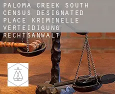 Paloma Creek South  kriminelle verteidigung rechtsanwalt