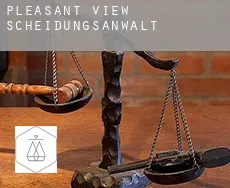 Pleasant View Scheidungsanwalt