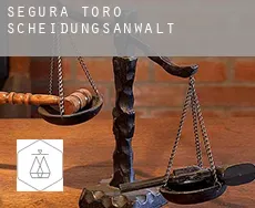 Segura de Toro  Scheidungsanwalt