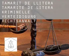 Tamarit de Llitera  kriminelle verteidigung rechtsanwalt