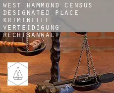 West Hammond  kriminelle verteidigung rechtsanwalt