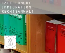 Callelongue  immigration rechtsanwalt
