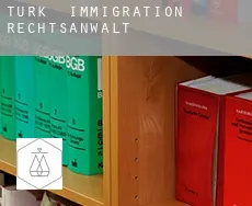 Turk immigration rechtsanwalt
