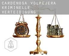 Cardeñosa de Volpejera  kriminelle verteidigung rechtsanwalt