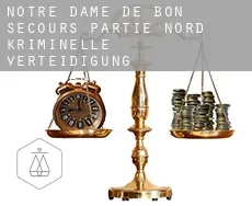 Notre-Dame-de-Bon-Secours-Partie-Nord  kriminelle verteidigung rechtsanwalt