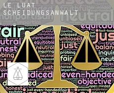 Le Luat Scheidungsanwalt
