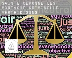 Sainte-Céronne-lès-Mortagne kriminelle verteidigung rechtsanwalt