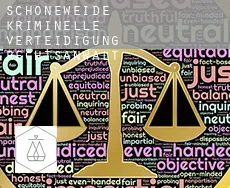 Schöneweide  kriminelle verteidigung rechtsanwalt