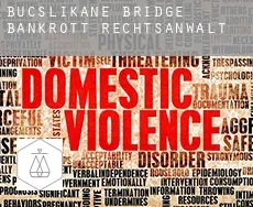 Bucslikane Bridge bankrott rechtsanwalt