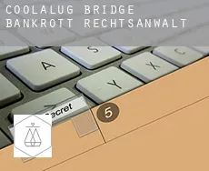Coolalug Bridge  bankrott rechtsanwalt