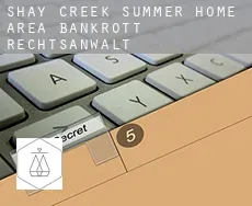 Shay Creek Summer Home Area  bankrott rechtsanwalt
