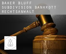 Baker Bluff Subdivision  bankrott rechtsanwalt