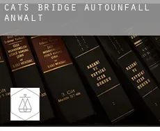 Cats Bridge  Autounfall Anwalt
