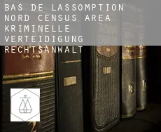 Bas-de-L'Assomption-Nord (census area)  kriminelle verteidigung rechtsanwalt