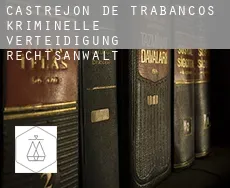 Castrejón de Trabancos  kriminelle verteidigung rechtsanwalt