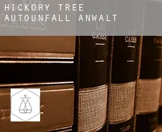 Hickory Tree  Autounfall Anwalt