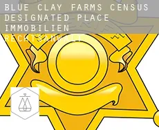 Blue Clay Farms  immobilien rechtsanwalt