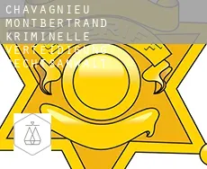 Chavagnieu-Montbertrand  kriminelle verteidigung rechtsanwalt