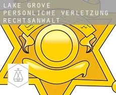 Lake Grove  persönliche verletzung rechtsanwalt