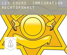 Les Cours  immigration rechtsanwalt