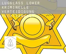 Lugglass Lower  kriminelle verteidigung rechtsanwalt