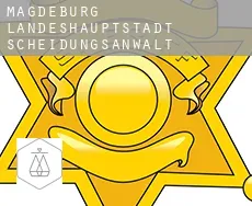 Magdeburg Landeshauptstadt  Scheidungsanwalt