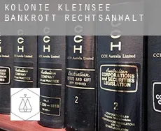 Kolonie Kleinsee  bankrott rechtsanwalt