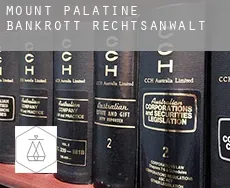 Mount Palatine  bankrott rechtsanwalt