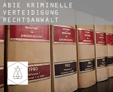 Abie  kriminelle verteidigung rechtsanwalt