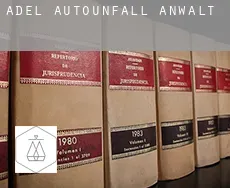 Adel  Autounfall Anwalt