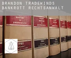 Brandon Tradewinds  bankrott rechtsanwalt