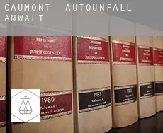 Caumont  Autounfall Anwalt