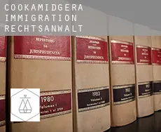 Cookamidgera immigration rechtsanwalt