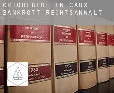 Criquebeuf-en-Caux  bankrott rechtsanwalt