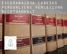 Escarabajosa de Cabezas  persönliche verletzung rechtsanwalt
