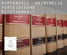 Koppenzell kriminelle verteidigung rechtsanwalt