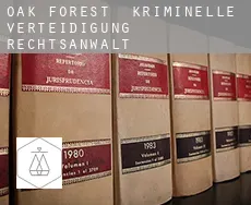 Oak Forest  kriminelle verteidigung rechtsanwalt