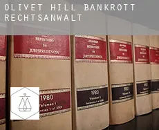 Olivet Hill  bankrott rechtsanwalt
