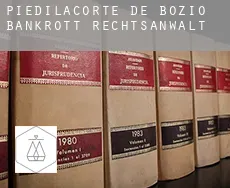 Piedilacorte-de-Bozio bankrott rechtsanwalt