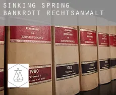 Sinking Spring  bankrott rechtsanwalt