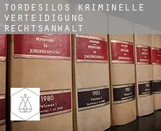 Tordesilos  kriminelle verteidigung rechtsanwalt