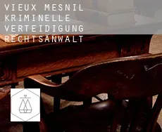 Vieux-Mesnil  kriminelle verteidigung rechtsanwalt