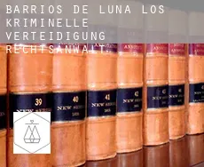 Barrios de Luna (Los)  kriminelle verteidigung rechtsanwalt