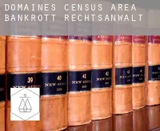Domaines (census area)  bankrott rechtsanwalt