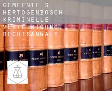 Gemeente 's-Hertogenbosch  kriminelle verteidigung rechtsanwalt