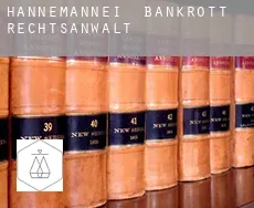 Hannemannei  bankrott rechtsanwalt