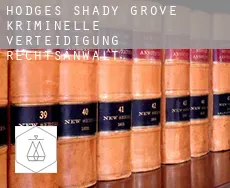 Hodges Shady Grove  kriminelle verteidigung rechtsanwalt