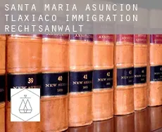 Santa María Asunción Tlaxiaco  immigration rechtsanwalt