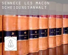 Sennecé-lès-Mâcon Scheidungsanwalt